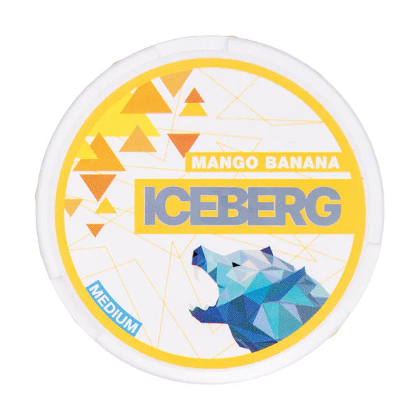 ICEBERG POUCHES - Pack of 5