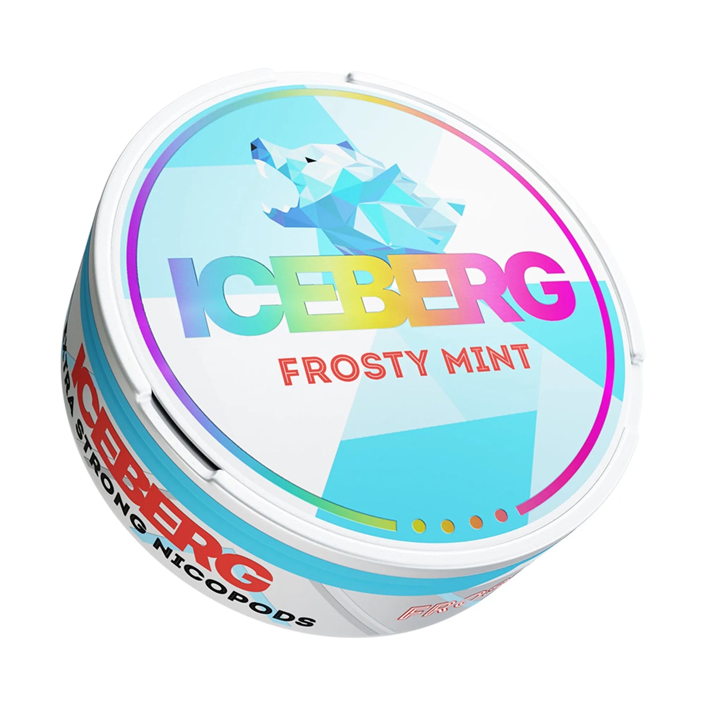 ICEBERG POUCHES - Pack of 5