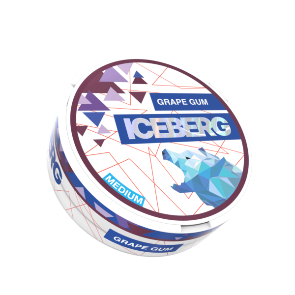 ICEBERG POUCHES - Pack of 5