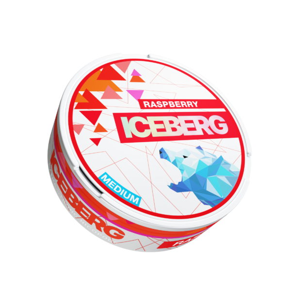 ICEBERG POUCHES - Pack of 5