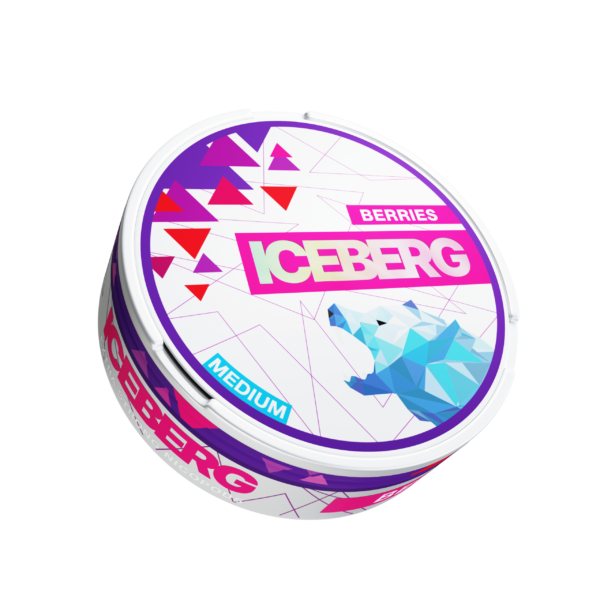 ICEBERG POUCHES - Pack of 5