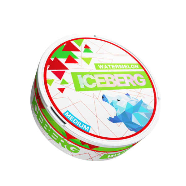 ICEBERG POUCHES - Pack of 5