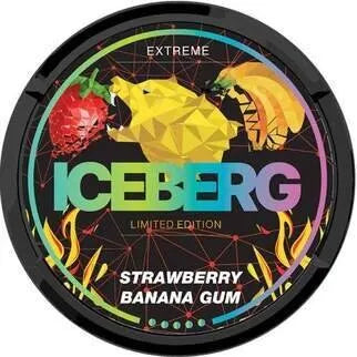 ICEBERG POUCHES - Pack of 5