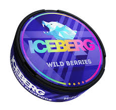 ICEBERG POUCHES