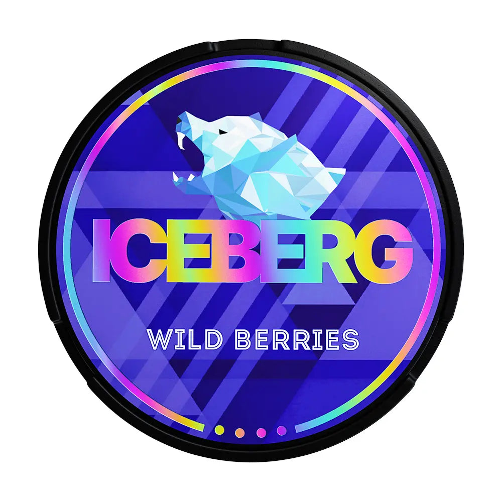 ICEBERG POUCHES - Pack of 5